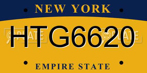 HTG6620 New York License Plate