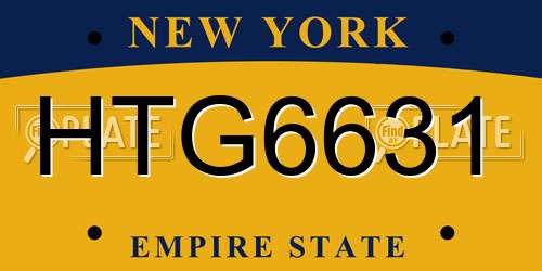 HTG6631 New York License Plate