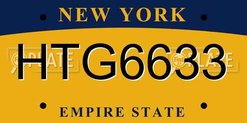 HTG6633 New York License Plate