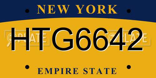 HTG6642 New York License Plate