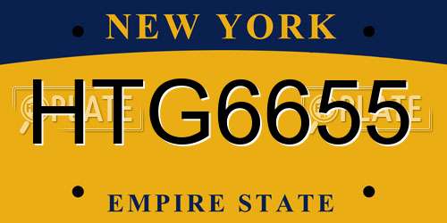 HTG6655 New York License Plate