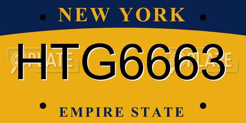 HTG6663 New York License Plate