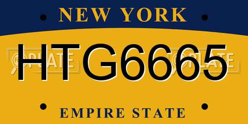 HTG6665 New York License Plate