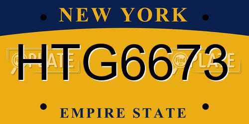 HTG6673 New York License Plate