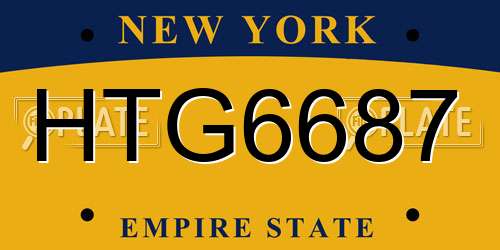 HTG6687 New York License Plate