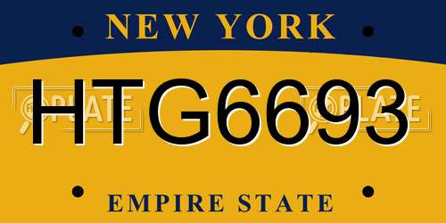 HTG6693 New York License Plate