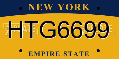 HTG6699 New York License Plate