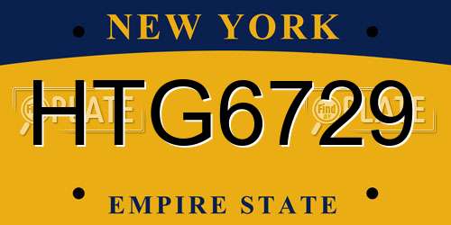 HTG6729 New York License Plate