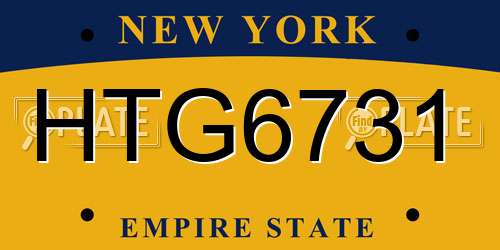 HTG6731 New York License Plate