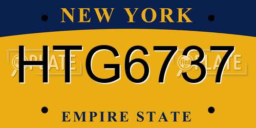 HTG6737 New York License Plate