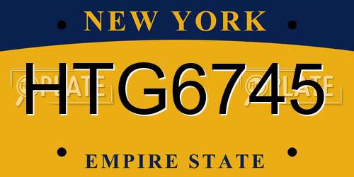 HTG6745 New York License Plate