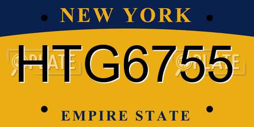 HTG6755 New York License Plate