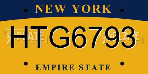 HTG6793 New York License Plate