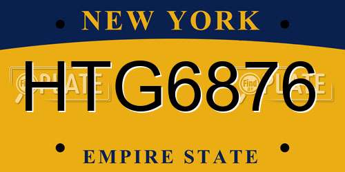 HTG6876 New York License Plate