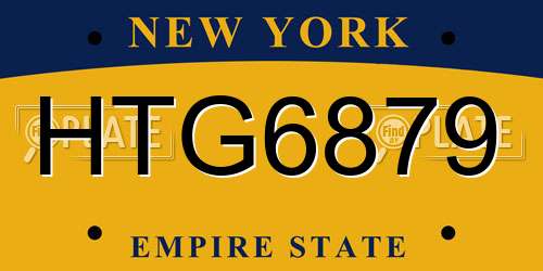 HTG6879 New York License Plate