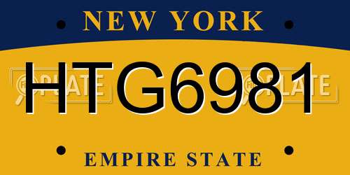 HTG6981 New York License Plate