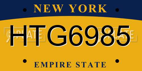 HTG6985 New York License Plate