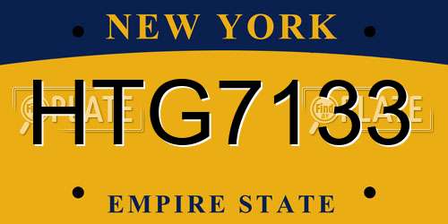 HTG7133 New York License Plate