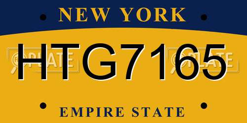 HTG7165 New York License Plate