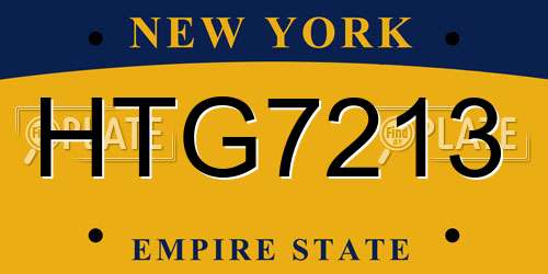 HTG7213 New York License Plate