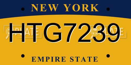 HTG7239 New York License Plate