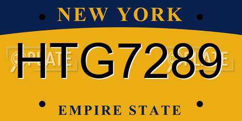 HTG7289 New York License Plate