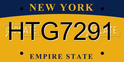 HTG7291 New York License Plate