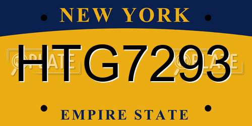 HTG7293 New York License Plate