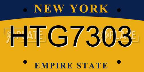HTG7303 New York License Plate