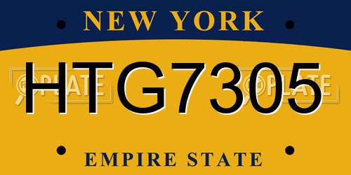 HTG7305 New York License Plate