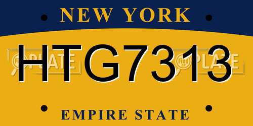 HTG7313 New York License Plate