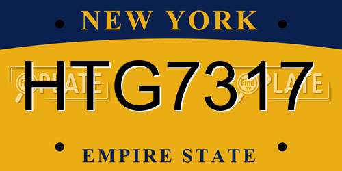 HTG7317 New York License Plate