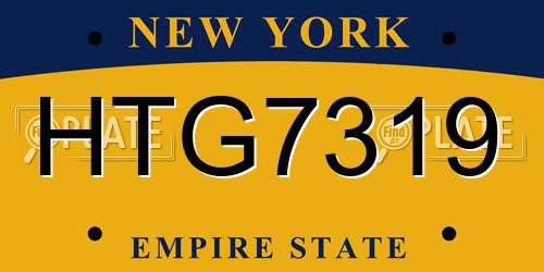 HTG7319 New York License Plate