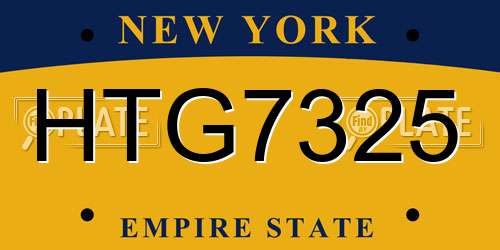 HTG7325 New York License Plate