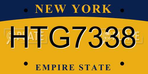 HTG7338 New York License Plate