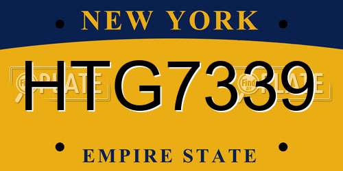 HTG7339 New York License Plate