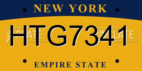 HTG7341 New York License Plate