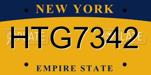HTG7342 New York License Plate