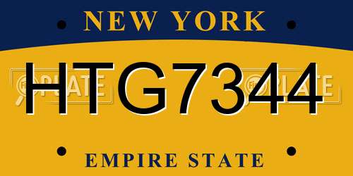HTG7344 New York License Plate