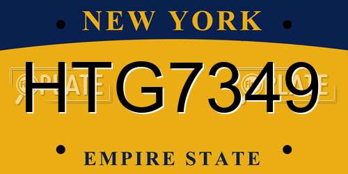 HTG7349 New York License Plate