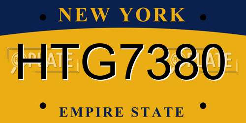 HTG7380 New York License Plate