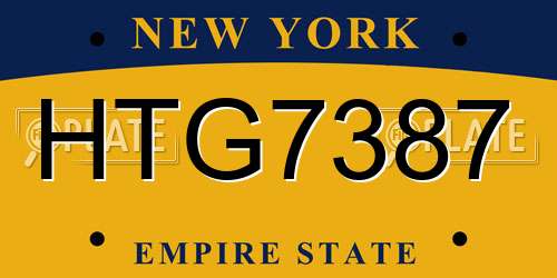 HTG7387 New York License Plate