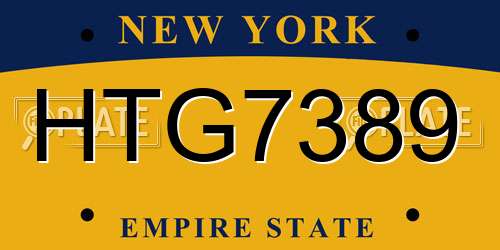 HTG7389 New York License Plate