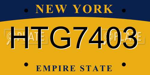 HTG7403 New York License Plate