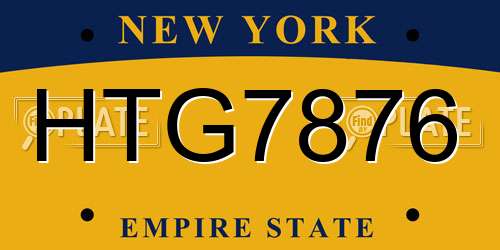 HTG7876 New York License Plate