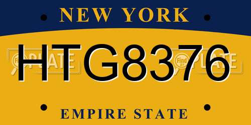 HTG8376 New York License Plate