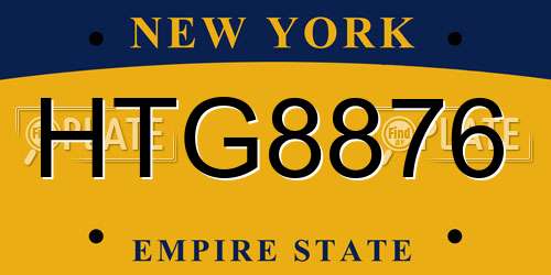 HTG8876 New York License Plate