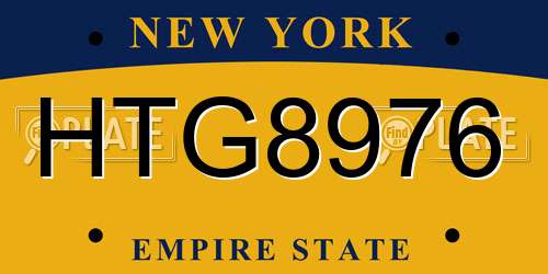 HTG8976 New York License Plate