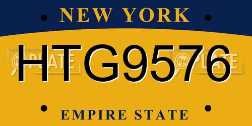 HTG9576 New York License Plate