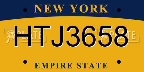 HTJ3658 New York License Plate